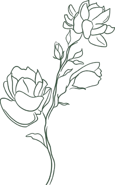 Gemini Generated Image a1fi0ia1fi0ia1fi removebg preview