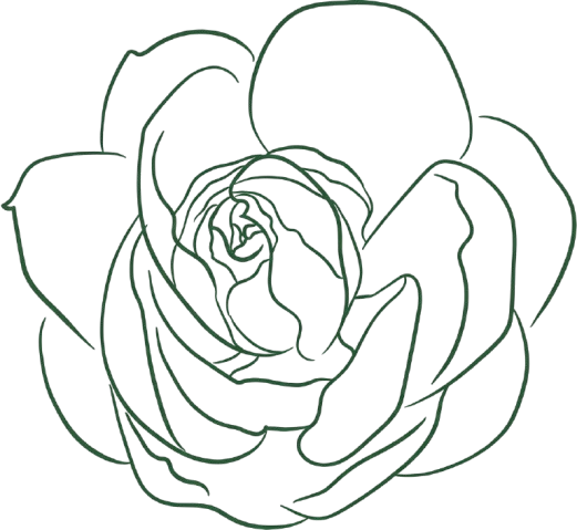 Gemini Generated Image jhmz38jhmz38jhmz removebg preview